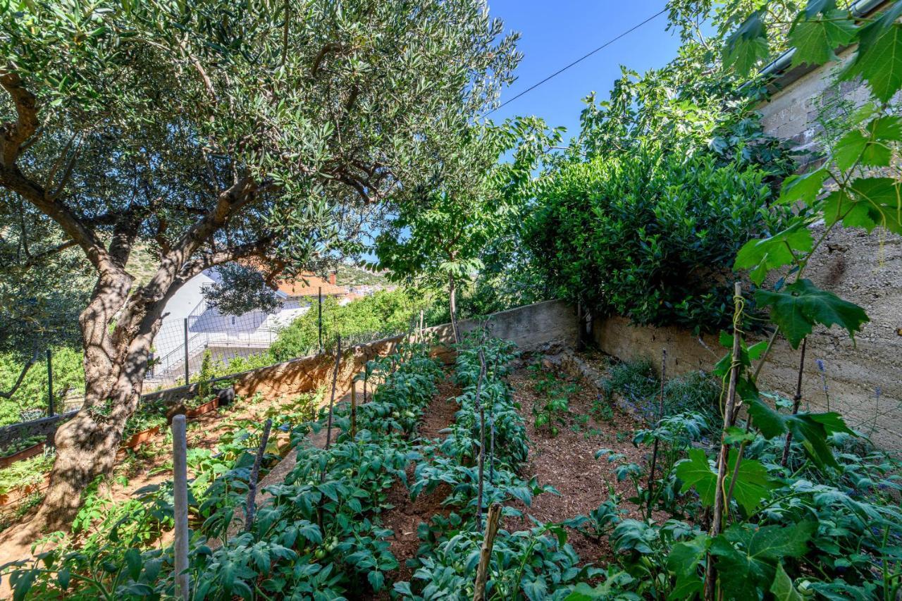 Apartments Kardum Šibenik Exterior foto